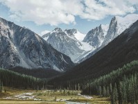 蘑菇视频三步快走：看结尾收得太紧吗做把配乐拿掉再理解收尾读完更清醒