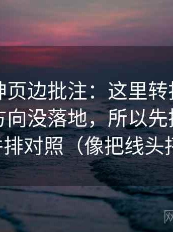 推特大神页边批注：这里转折词是不是在带方向没落地，所以先把不同说法并排对照（像把线头捋顺）