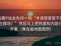 我看P站会先问一句“术语密度是不是在撑场？”然后马上把热度和内容分开看（像在画地图图例）
