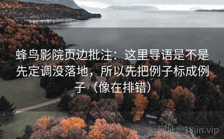 蜂鸟影院页边批注：这里导语是不是先定调没落地，所以先把例子标成例子（像在排错）